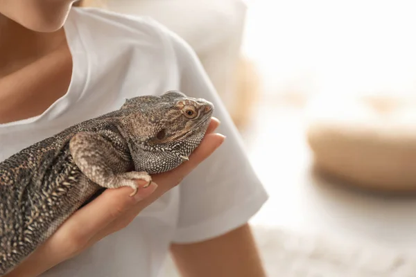 Woman Holding Bearded Lizard Indoors Closeup Exotic Pet — Stock Photo, Image