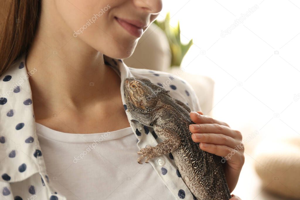 Woman holding bearded lizard indoors, closeup. Exotic pet