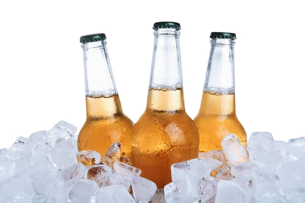 Ice Cubes Bottles Beer White Background — Stock Photo, Image