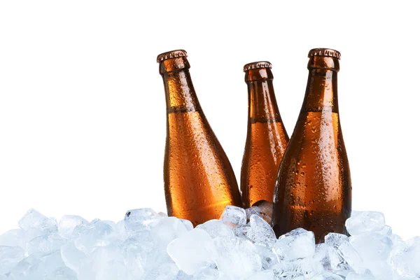 Eiswürfel Und Bierflaschen Auf Weißem Hintergrund — Stockfoto