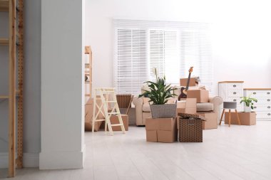 Oturma odasında karton kutular ve ev eşyaları. Taşınma günü