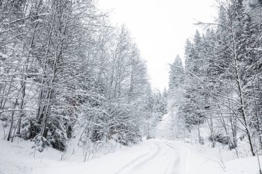 Kış günü karlı ormanın yakınındaki yol manzarası.