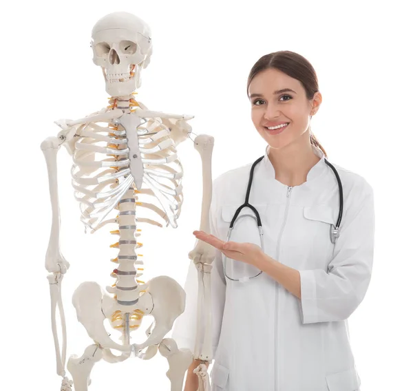 Vrouwelijke Orthopeed Met Menselijk Skelet Model Witte Achtergrond — Stockfoto