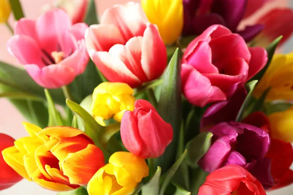 Красиві Весняні Тюльпани Світлому Фоні Крупним Планом — стокове фото