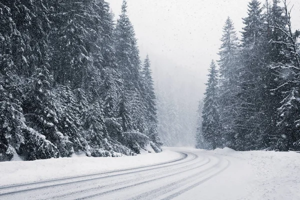 Hermoso Paisaje Con Carretera Bosque Coníferas Día Invierno Nevado — Foto de Stock