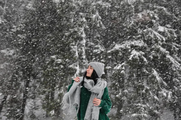 Молодая Женщина Теплой Одежде Улице Снежный День Зимние Каникулы — стоковое фото