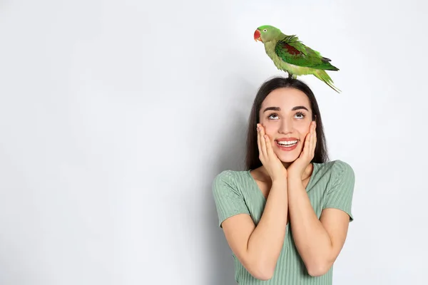 Junge Frau Mit Alexandrine Sittich Auf Hellem Hintergrund Nettes Haustier — Stockfoto