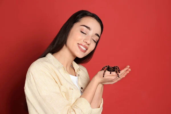 Mulher Segurando Tarântula Listrada Joelho Fundo Vermelho Animal Estimação Exótico — Fotografia de Stock