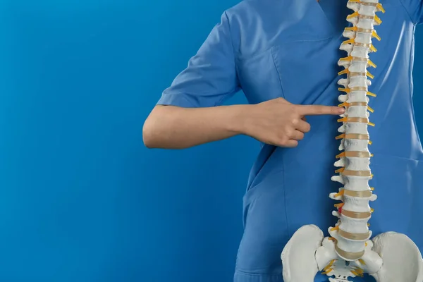 Vrouwelijke Orthopeed Met Menselijk Ruggengraat Model Tegen Blauwe Achtergrond Close — Stockfoto