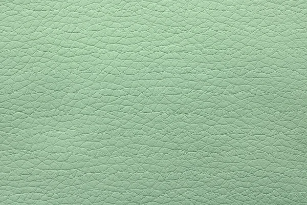 Texture Pelle Verde Chiaro Come Sfondo Primo Piano — Foto Stock