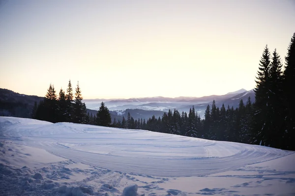 雪の丘と針葉樹林の絵のような景色 冬の美 — ストック写真