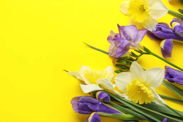 Belles Fleurs Printanières Sur Fond Jaune Gros Plan Espace Pour — Photo