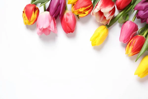 Красиві Весняні Тюльпани Білому Тлі Вид Зверху — стокове фото