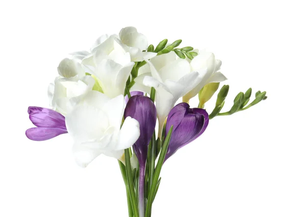 Букет Красивых Весенних Цветов Белом Фоне — стоковое фото