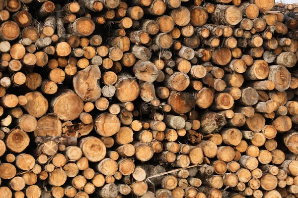 背景として薪を積み上げ 冬の暖房の家 — ストック写真