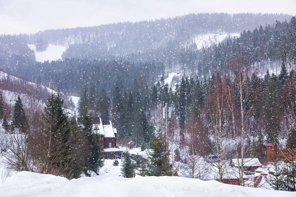 Malerischer Blick Auf Das Verschneite Dorf Der Nähe Von Wald — Stockfoto