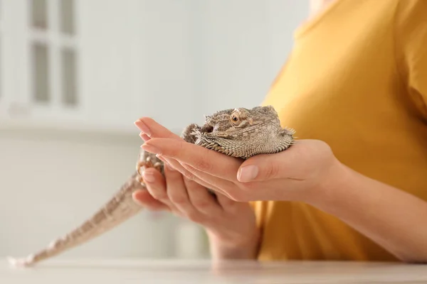 Woman Holding Bearded Lizard Indoors Closeup Exotic Pet — Stock Photo, Image