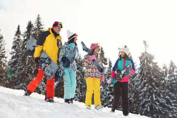 Groupe Amis Avec Équipement Dans Les Montagnes Enneigées Vacances Hiver — Photo