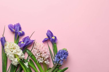 Pembe arka planda bahar çiçekleri olan düz bir kompozisyon. Metin için boşluk