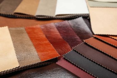 Arka plan olarak farklı deri örnekleri, yakın görünüm