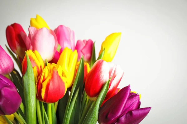 Hermosos Tulipanes Brillantes Primavera Sobre Fondo Blanco —  Fotos de Stock