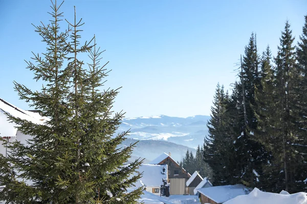 Winterlandschaft Mit Schönen Tannen Bergdorf — Stockfoto