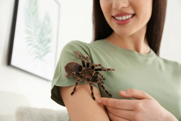 Kobieta Pasiastej Tarantuli Kolanowej Domu Zbliżenie Egzotyczne Zwierzę — Zdjęcie stockowe