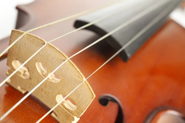 Beautiful Classic Violin Closeup View Musical Instrument — Stock Photo, Image