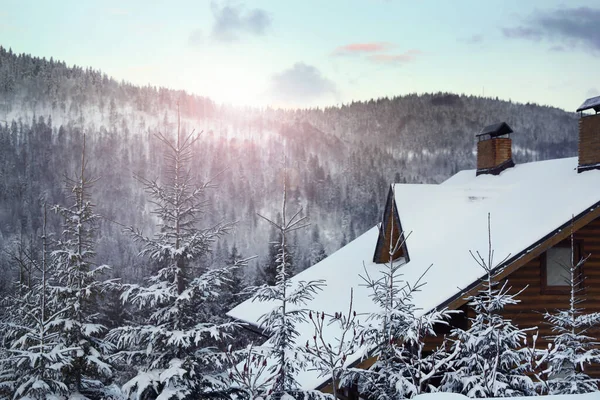 冬の日に屋外で雪に覆われた木や家 — ストック写真
