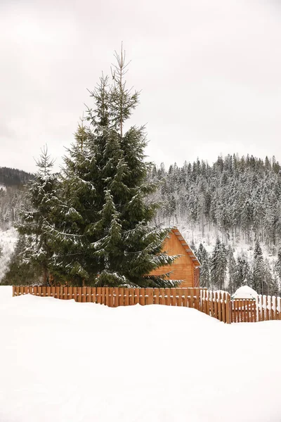 Beautiful Landscape Cottage Snowy Winter Day — Stock Photo, Image