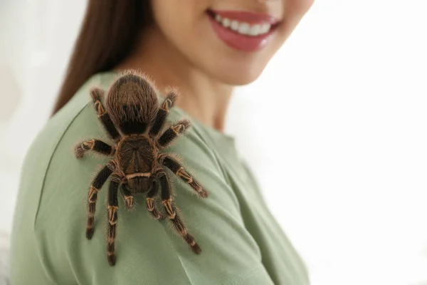 Mulher Com Tarântula Listrada Joelho Casa Close Animal Estimação Exótico — Fotografia de Stock