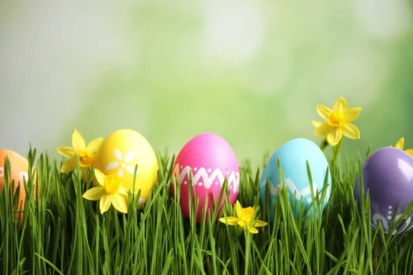 Huevos Pascua Coloridos Flores Narcisas Hierba Verde Sobre Fondo Borroso —  Fotos de Stock