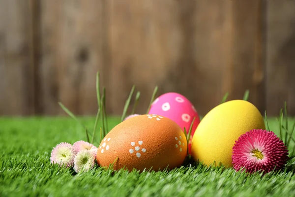 Colorful Easter Eggs Daisy Flowers Green Grass Closeup — Stock Photo, Image