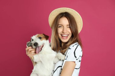 Pembe arka planda Jack Russell Terrier 'ı olan genç bir kadın. Sevimli hayvan