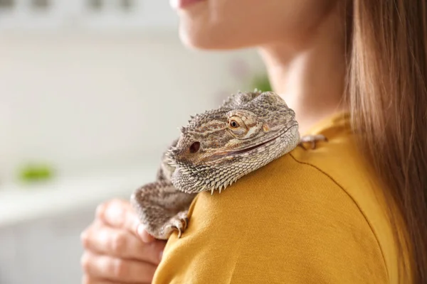 Woman holding bearded lizard indoors, closeup. Exotic pet