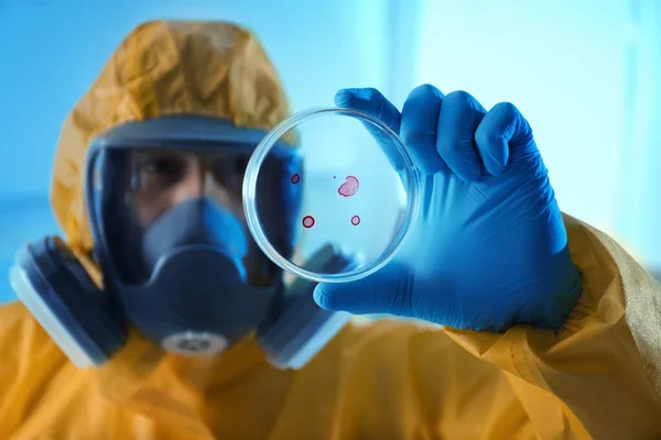 Científico Traje Protección Química Con Placa Petri Laboratorio Centrarse Mano —  Fotos de Stock