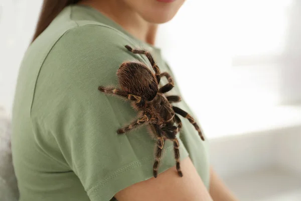 Mujer Con Tarántula Rayas Casa Primer Plano Mascota Exótica — Foto de Stock