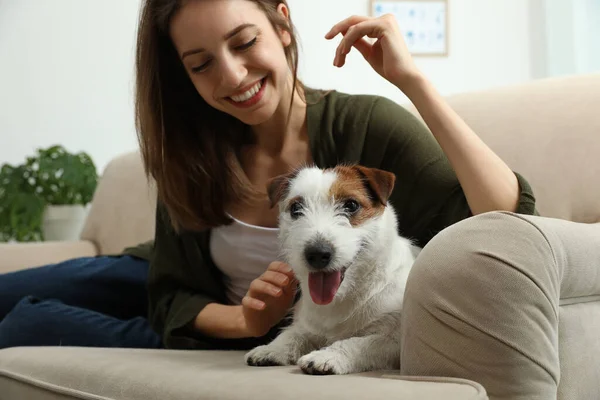 Jonge Vrouw Met Haar Schattige Jack Russell Terrier Bank Thuis — Stockfoto