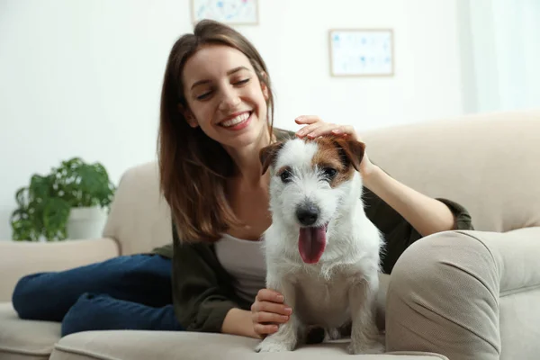 Jonge Vrouw Met Haar Schattige Jack Russell Terrier Bank Thuis — Stockfoto