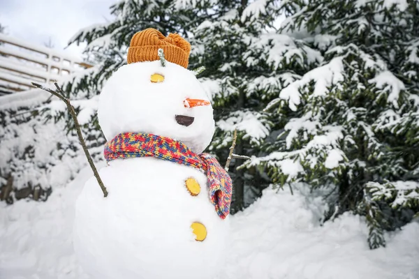 Muñeco Nieve Divertido Con Sombrero Bufanda Aire Libre Vacaciones Invierno —  Fotos de Stock