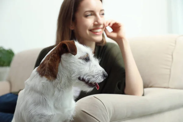 Jonge Vrouw Met Haar Schattige Jack Russell Terrier Bank Thuis — Stockfoto