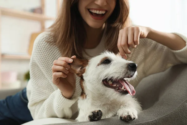 Jonge Vrouw Met Haar Schattige Jack Russell Terrier Bank Thuis — Stockfoto