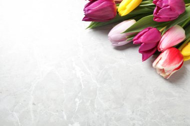 Mermer masada güzel bahar laleleri, yakın plan. Metin için boşluk