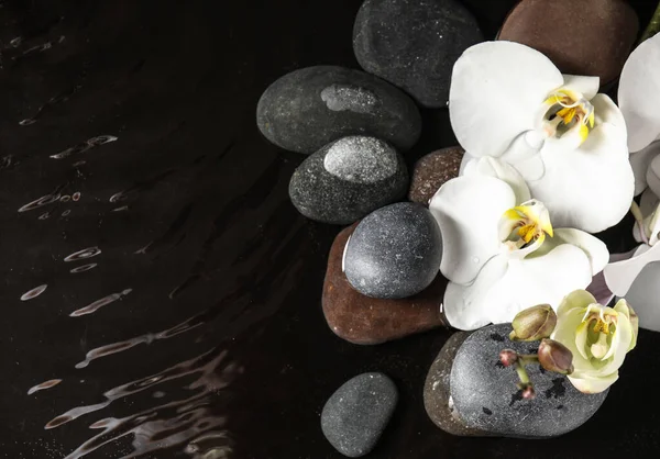 Pierres Fleurs Orchidées Dans Eau Sur Fond Noir Couché Plat — Photo
