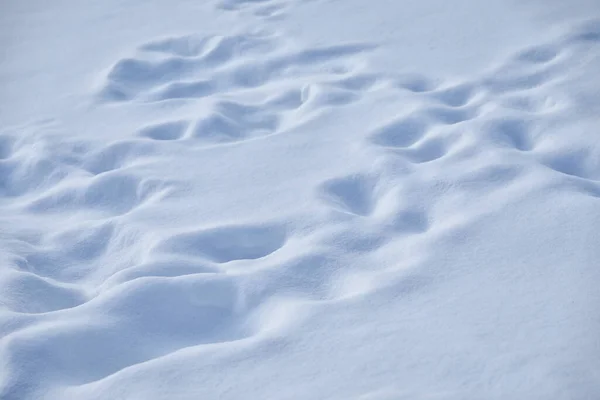 Schöne Schneewehe Als Hintergrund Nahaufnahme Winterwetter — Stockfoto