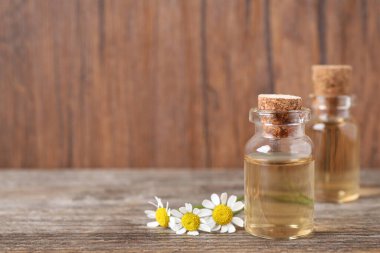 Papatya çiçekleri ve ahşap masada gerekli yağ şişeleri, metin için yer