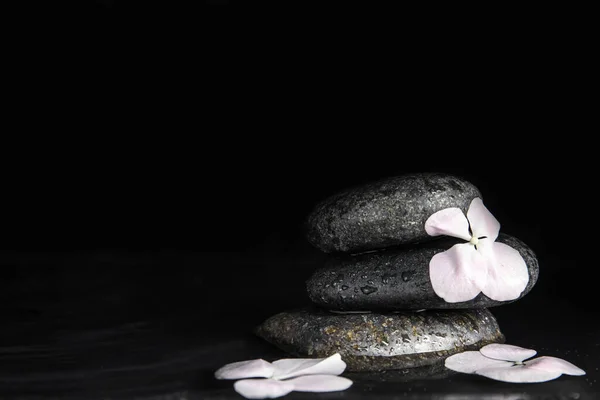Kamienie Kwiaty Wodzie Czarnym Tle Miejsce Tekst Styl Życia Zen — Zdjęcie stockowe