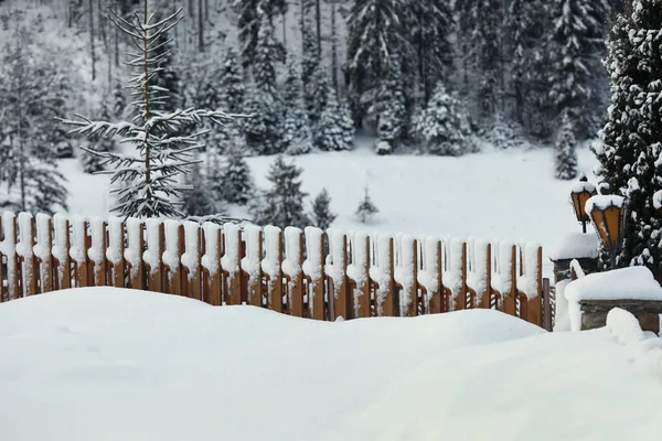 겨울철에는 눈으로 뒤덮인 울타리 — 스톡 사진