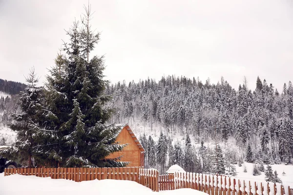 Prachtig Landschap Met Huisje Besneeuwde Winterdag — Stockfoto