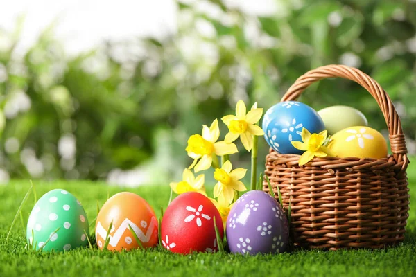 Coloridos Huevos Pascua Flores Narciso Hierba Verde Espacio Para Texto —  Fotos de Stock